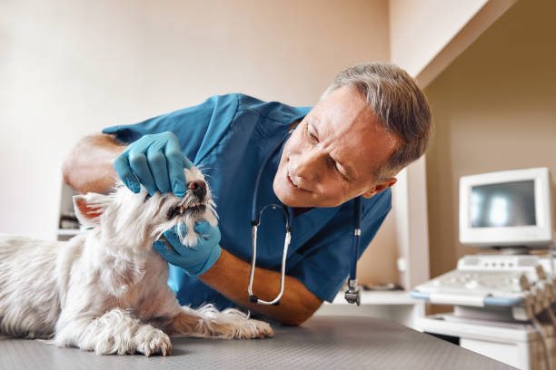 Best Emergency Wisdom Tooth Extraction in Mayville, WI